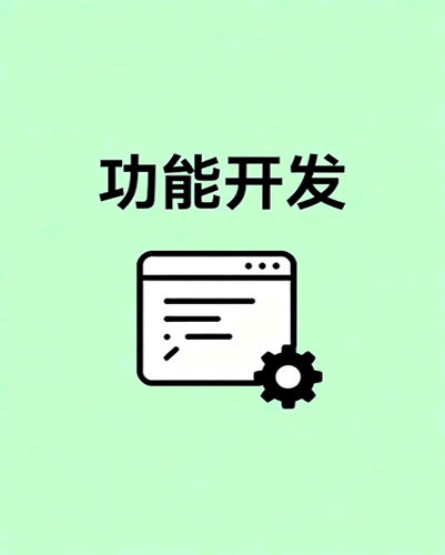 功能开发